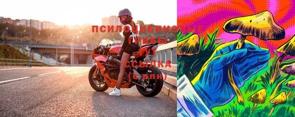дурь Россошь