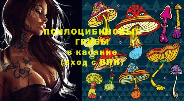 кокс Ростов