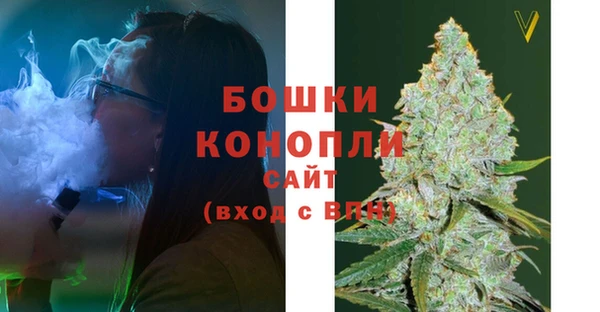 сатива Яранск