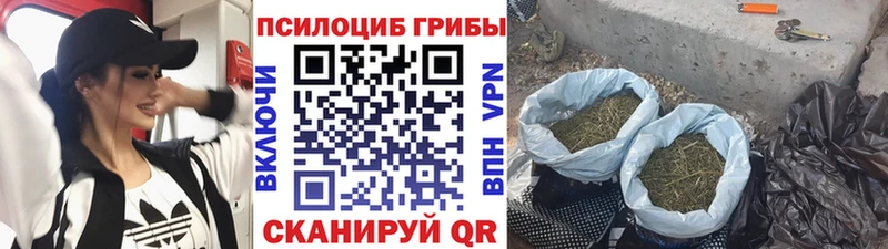 Псилоцибиновые грибы ЛСД  Алатырь 