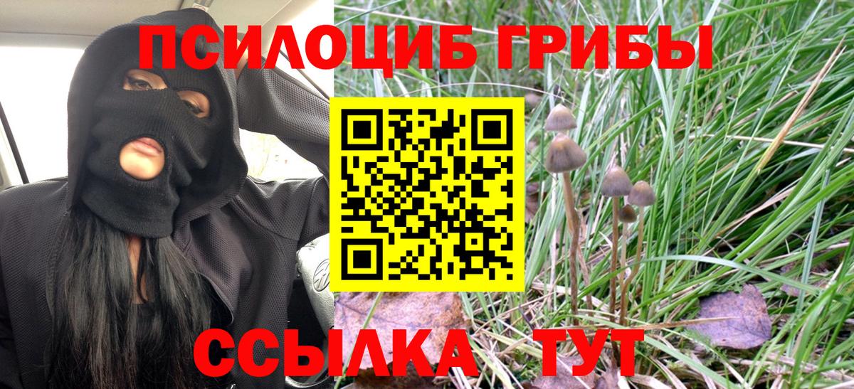 Галлюциногенные грибы ЛСД Алатырь