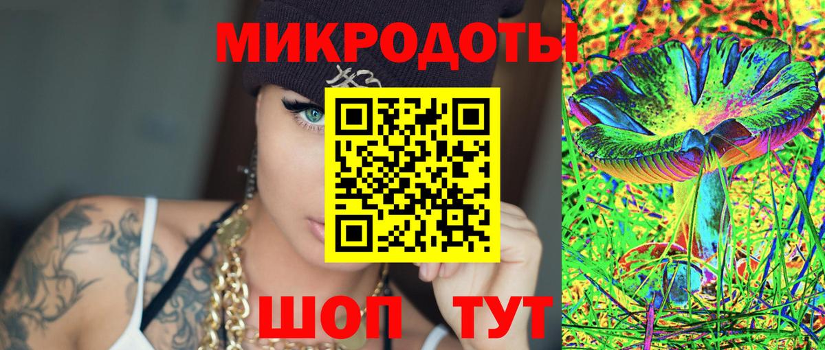 Галлюциногенные грибы Psilocybe  Алатырь 