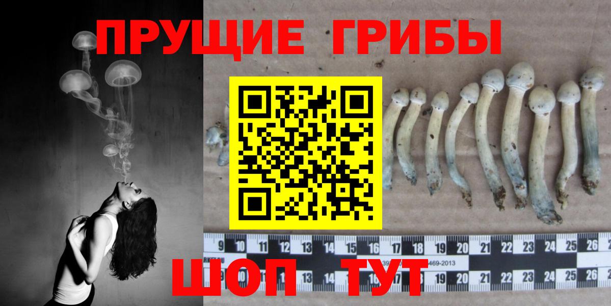 Псилоцибиновые грибы Magic Shrooms Алатырь